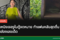 ยายหนิงเจองูในกล่องจดหมาย