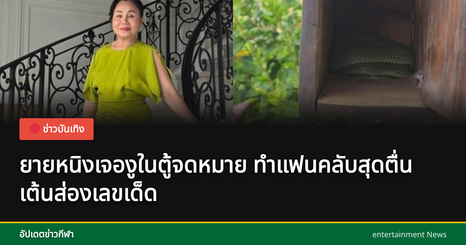 ยายหนิงเจองูในกล่องจดหมาย