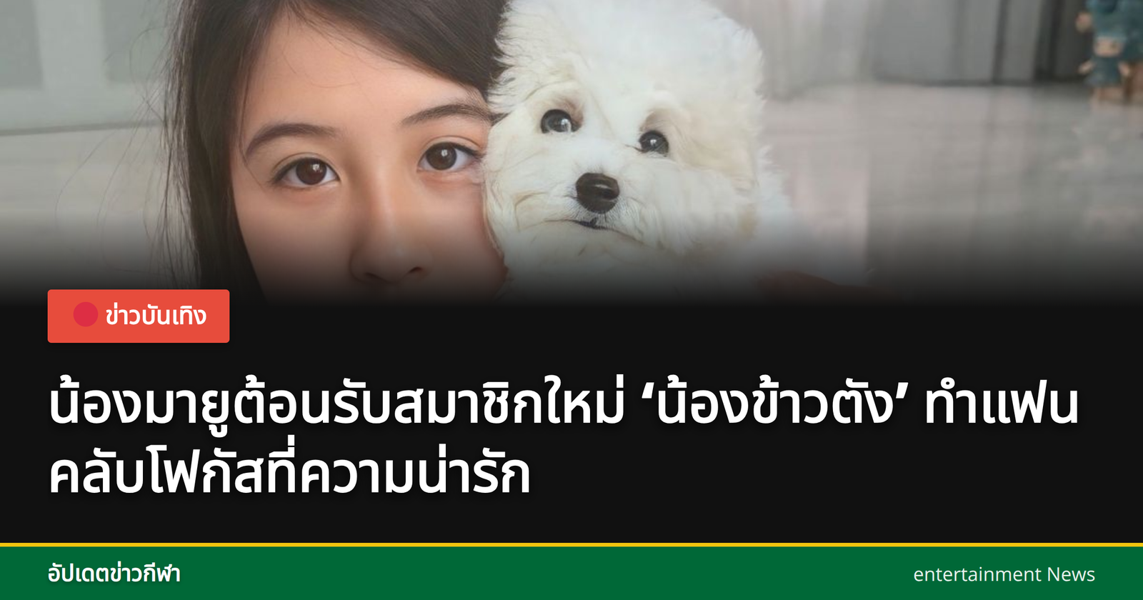 น้องมายูกำลังเล่นกับน้องข้าวตัง