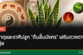 ต้นลิ้นมังกรในบ้าน